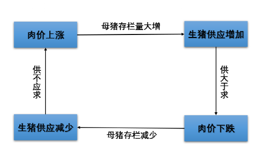 猪周期三问:止跌了吗?可以抄底吗?现在是什么行情?